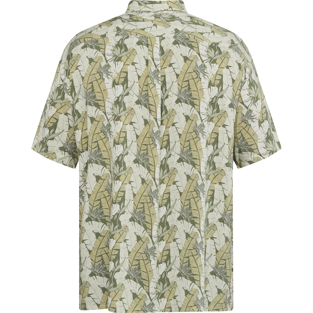 koszula-hawajska-duzyrozmiar-gdansk-61310-bigubrnia-3xl-4xl